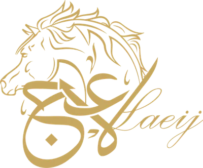 لاعج · LAEIJ BOUTIQUE